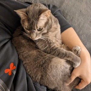 Welcome to my clutter!!  =)